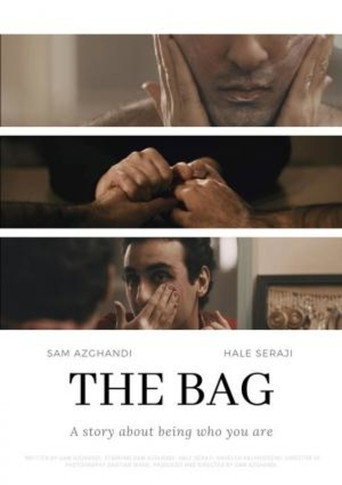 Poster for The Bag