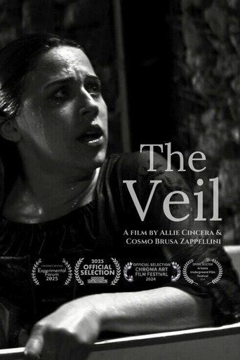 Poster for The Veil