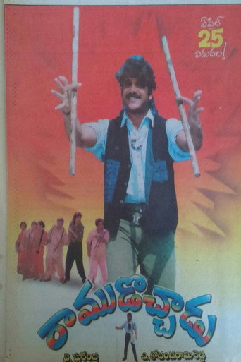 Poster for Ramudochadu