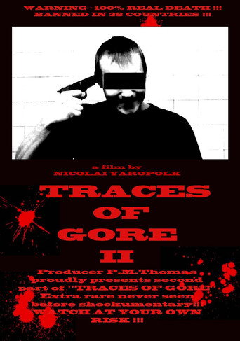 Poster for Traces of Gore II