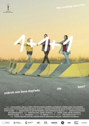 1+1+1 movie poster