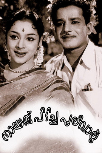 Poster for Nairu Pidicha Pulivalu