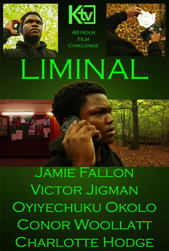 Poster for Liminal
