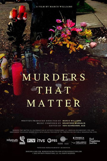Murders That Matter movie poster