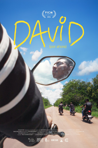 Poster for David (For Now)