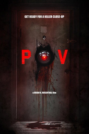 Poster for POV