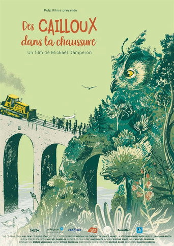 Poster for Des cailloux dans la chaussure