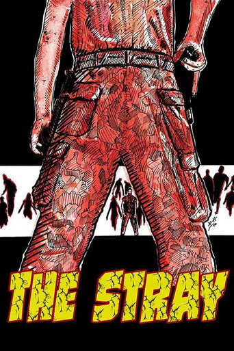 Poster for The Stray