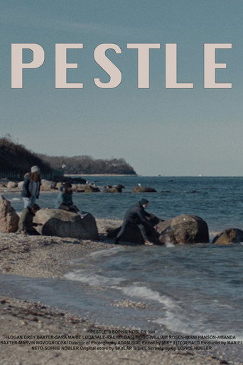 Poster for Pestle