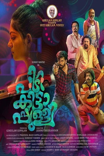 Poster for Pidikittapulli