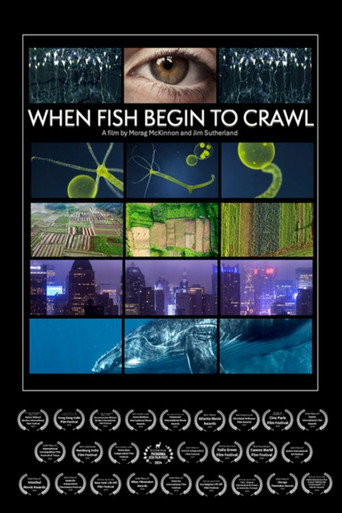 When Fish Begin to Crawl movie poster