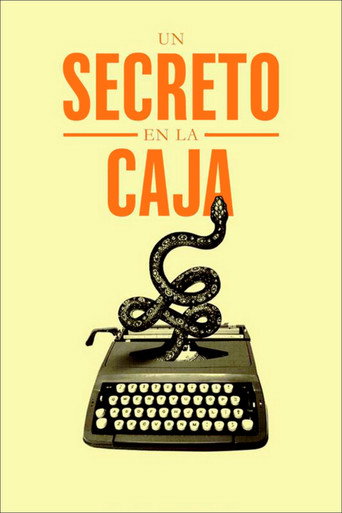 Poster for A Secret in the Box
