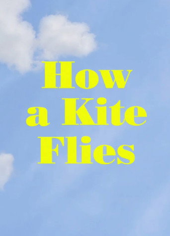 Poster for How a Kite Flies