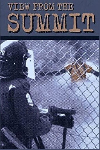 View from the Summit movie poster