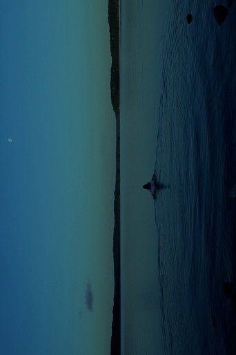 Poster for THE WATERS
