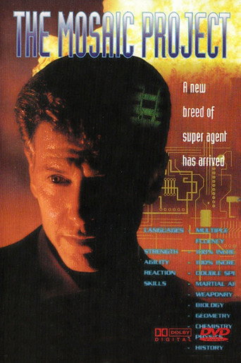 Poster for The Mosaic Project