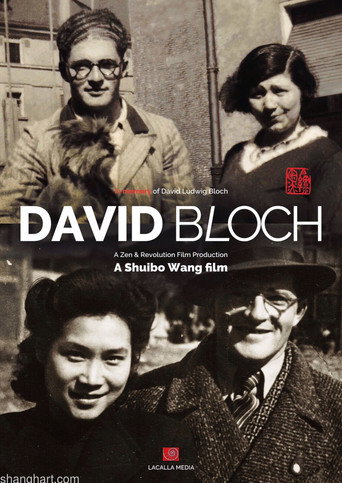 Poster for Who Is David Bloch