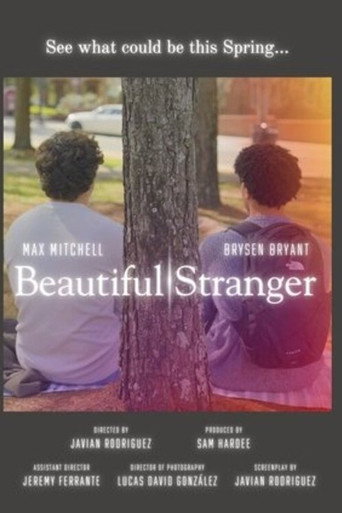 Poster for Beautiful Stranger